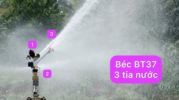 Béc BT37 tưới phun mưa rất đều nước