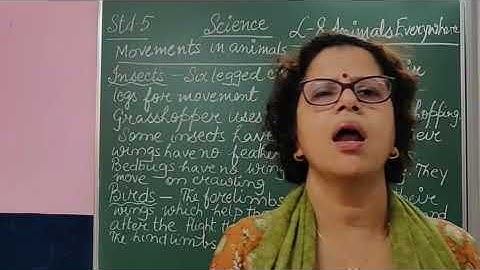 V Science Chapter 8 Animals Everywhere Part 9