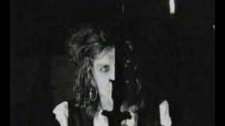 Video thumbnail of "THE DOGS D'AMOUR - PUT IT IN HER ARMS"