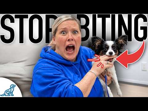 Your Complete Puppy Biting/Nipping Guide