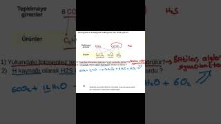 10. Sınıf Biyoloji 1. Dönem 1. Yazılıya Hazırlık