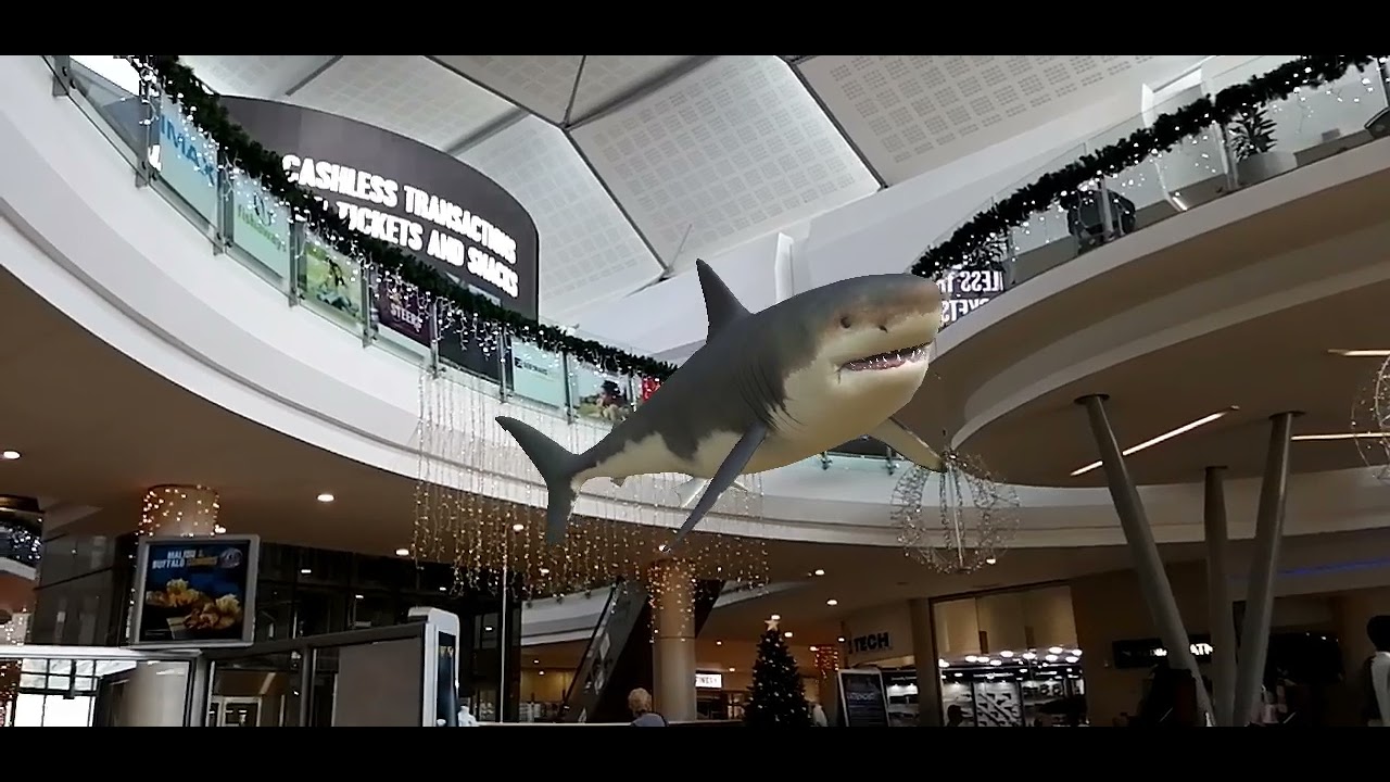 Augmented Reality Shark