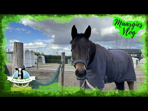 Vlog 226, 14 maart 2025