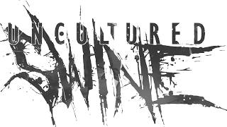 Uncultured Swine -Fading Out Silence (Live Music Video) #unculturedswine #deathcore