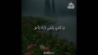 Heart Touching Quran Recitation for Spiritual Reflection and Healing #HolyQuran #Reflection