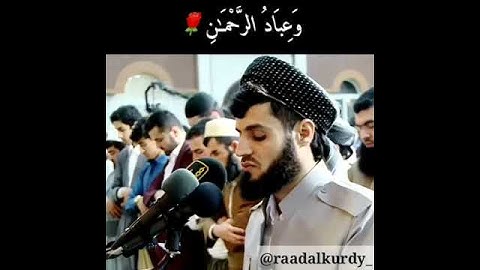 تلاوة رائعة سورة الفرقان القارئ رعد محمد الکردی