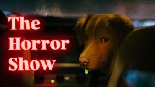 The Horror Show: W20 Good Boy (2025)