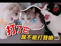 网红猫同吃年夜饭，原形毕露彻底撕破脸！？｜花花与三猫 Cat Live thumbnail