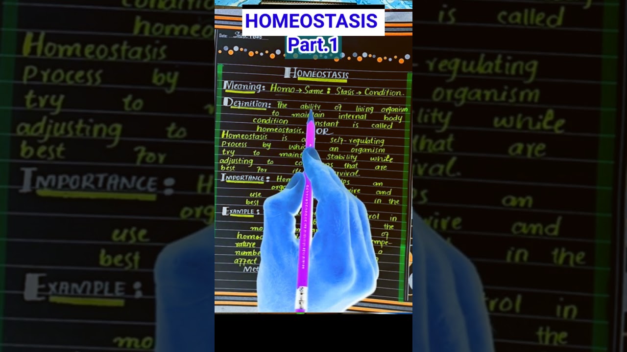 HOMEOSTASIS Explained In Simple Terms With Real Life Examples? 