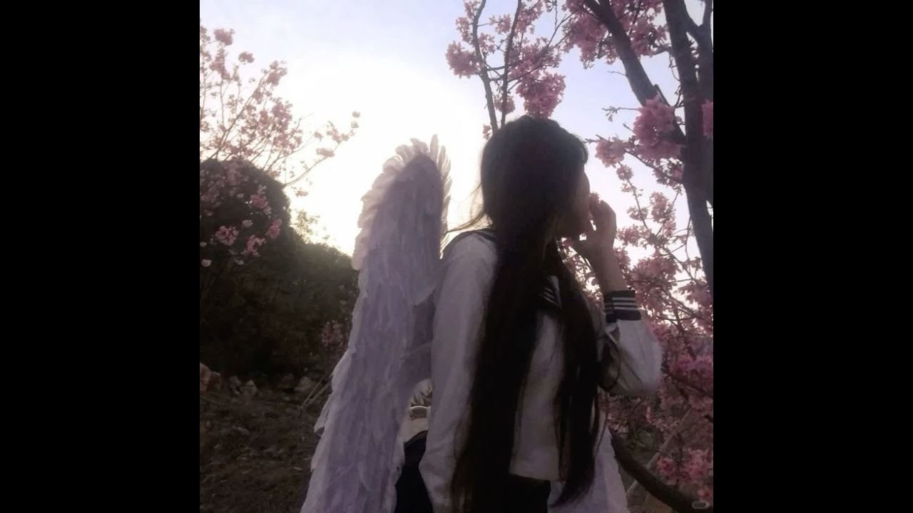 [FREE] emoplugg x diary plugg x whyhaze type beat - 