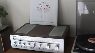 Mushroom Devil Among The Tailors On Thorens Td145 Turntable , Ortofon Vms20E Mk2 Cartridge