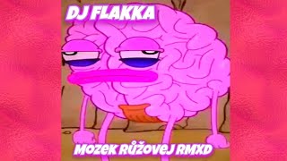 DJ FLAKKA - Mozek růžovej RMXD (feat.Divokej Západ)