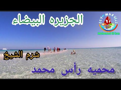 الجزيره البيضاء رأس محمد شرم الشيخ