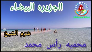 الجزيره البيضاء رأس محمد شرم الشيخ