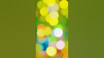 Cute Rabbits Walking in Magical Forest 🌸🦋| #cute #animation