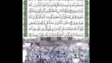 سورة الحجرات قراءة الشيخ احمد بن طالب