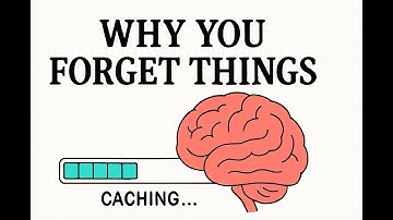 Why You Forget Things — The Science of Brain Caching