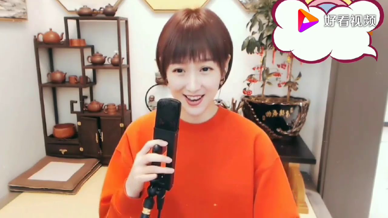 梁红《喝醉以后才明白》DJ版 好看视频