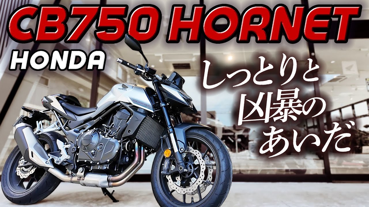 #261 しっとり系【CB750 HORNET】HONDA750cc並列2気筒は大型初心者でも大丈夫！トルクはあるし旋回性最高だし、価格100万円だぜ！これで人気無いって本当？