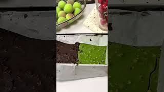 If happiness is a mini cake with two flavors #chocolate #matcha #minicake #happiness#cake#viralvideo
