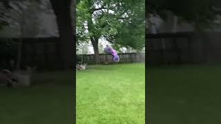 #rc #fun #huge #backflip tumble #team associated mt-10 #crash #rccar #rctruck #fyp #hobby #shorts