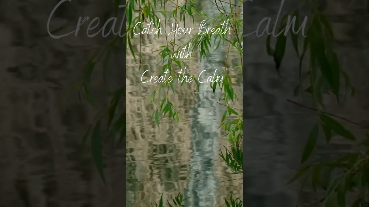 Catch Your Breath Wednesday Meditation    You are Enough 