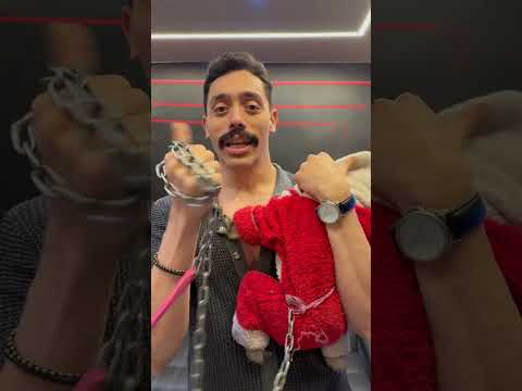 بدراه وخربوش شمس نبوي مصر ملكه العقبان ف مصر