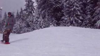 Grouse Mountain, March 2010