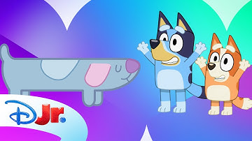 Bluey Hidden Surprises | Find All the Long Dogs! 🐶 | @disneyjr