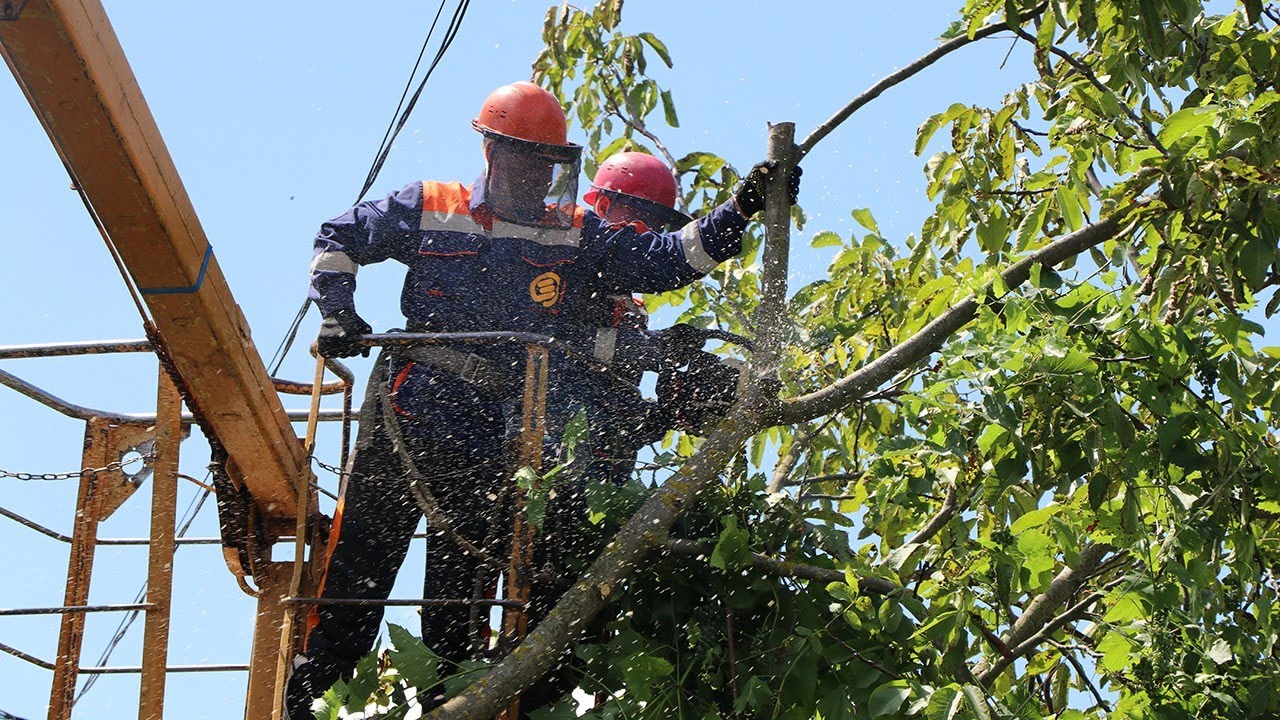 Відповідальність за розчистку трас та охоронні зони ліній електропередачі