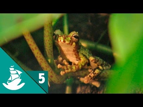 The Sixth Extinction (part 5/5)
