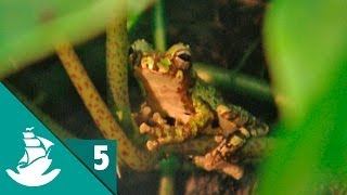 The Sixth Extinction (part 5/5)