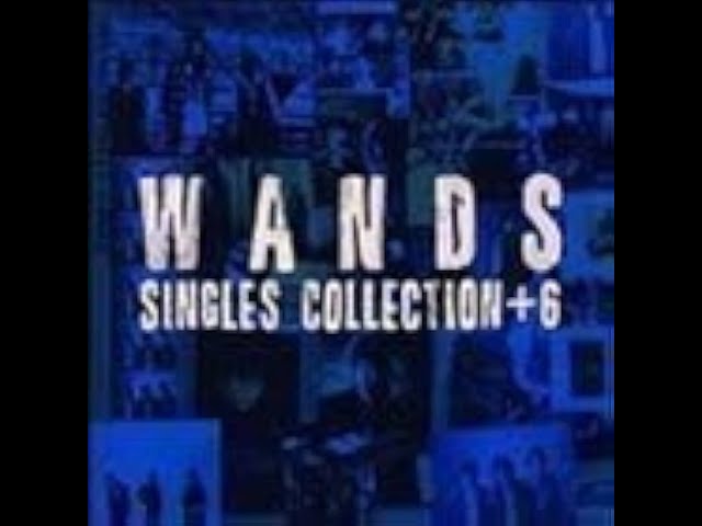 寂しさは秋の色WANDS