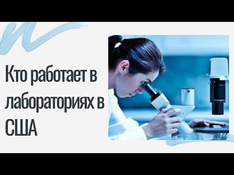 Кто работает в лабораториях в США/старшие, младшие лаборанты, pathologist