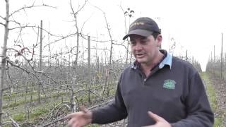 Brad Fankhauser Apal Grower Of The Year 2015