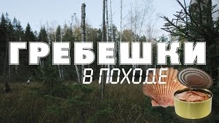Гребешки в походе Гребешки в походе