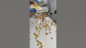 Peel the shell of chestnuts automatically