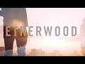 Etherwood - In Stillness