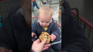 Little Baby Gets Obsessed With Chocolate Chip Cookie - 1366850