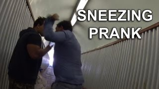 Sneezing (SA Wardega)
