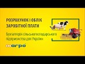 Розрахунок і облік заробітної плати в "Бухгалтерія сільськогосподарського підприємства"