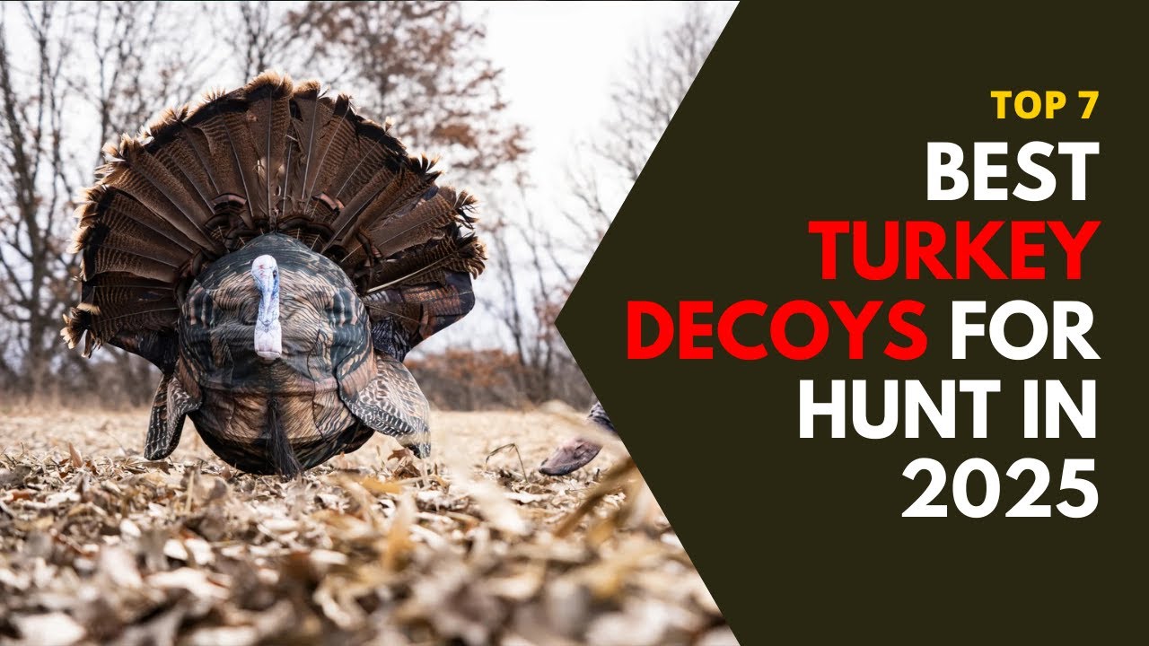 7 Best Turkey Decoys for a More Successful Hunt in 2025!