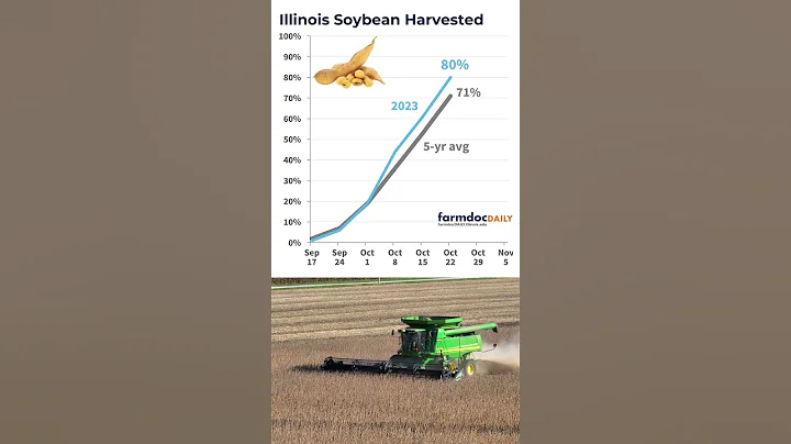 Illinois Crop Progress Report for Oct 23, 2023  #USDA #soybeans #corn