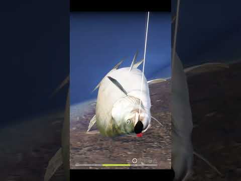 🐠🎣Русская рыбалка 4. Нельма на ультралайт спиннинг. Не сложно, но долго😂 #shorts #fishing #gaming