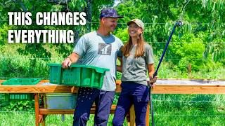 Preparing the Homestead for Harvest Season