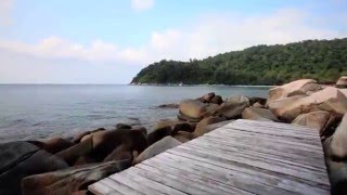 Perhentian Turtle Project : Volunteer Abroad in the Perhentian Islands