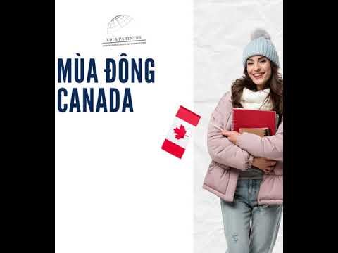 Video: Khu nghỉ dưỡng Trượt tuyết Gia đình Tốt nhất ở Canada