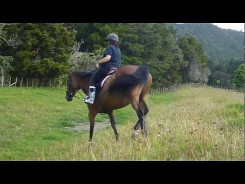 Stone River Sleipnir