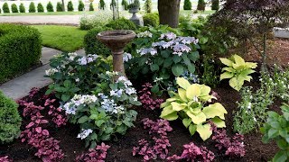 Landscape Makeover Pt 2 🌿// Garden Answer