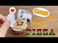 ハムスターに宅配ピザ届けてみた♪Hamster Eats Tiny Pizza!!